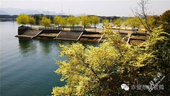 陸水湖 一首四季循環的歌