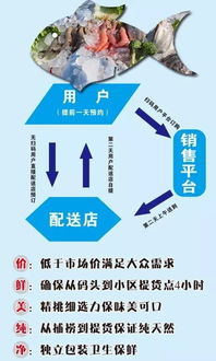 想直接去水產碼頭的船上撩魚吃嗎