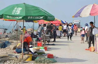 僅剩1天 全民等開海 青島 第一漁 啥時能吃 看解答