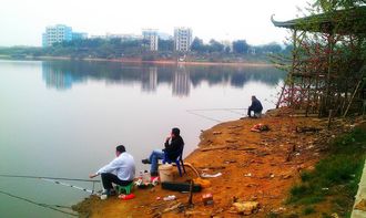 夏釣大型水庫,四個關鍵點要記住