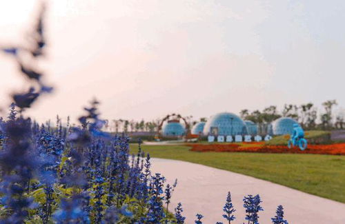 綠地長島 安逸祥和的旅居大城