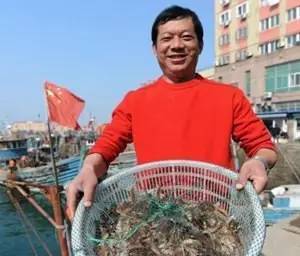 山東青島 海捕大蝦抓緊吃,再過19天休漁了,各種碼頭 海鮮市場等你來