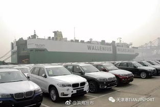 滾裝碼頭公司 單月商品車作業(yè)量再破9萬(wàn)