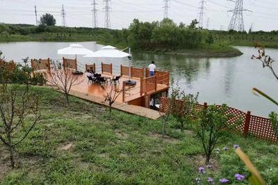 最是橙黃橘綠時,這個村的村民又逛起家門口的水果公園啦!