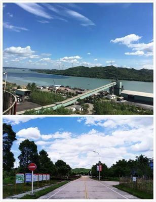 來了!今日微報(bào)