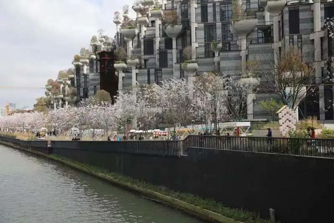 近30家首店、魔都唯一山型購(gòu)物中心,天安千樹(shù)正式開(kāi)業(yè)!