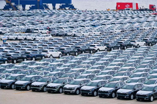 從商品車滾裝碼頭看山東港口煙臺港數字化轉型發展新模式