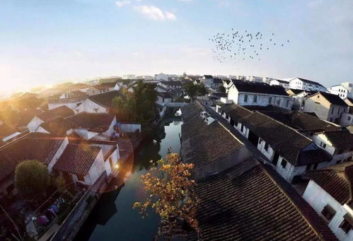 高鐵半小時 錦繡江南 金太倉 亮相上海 是時候將這份四季旅游表安利給你了