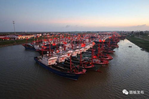 四季碼頭1354艘船舶推遲動態速看