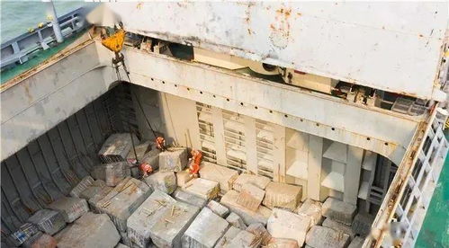 中遠海運港口多家碼頭疫情期間首季度成績單亮眼