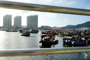 三亞四季碼頭 穿越時光的漁民生活圖景