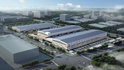 山東港口物流集團揭牌四周年 四季碼頭亮出高質量發展成績單