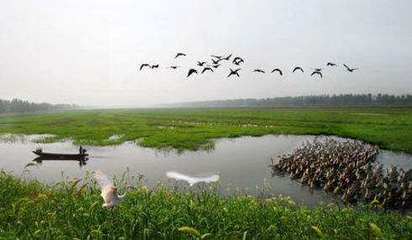 安慶四大景點 四季碼頭與神秘勝地探秘